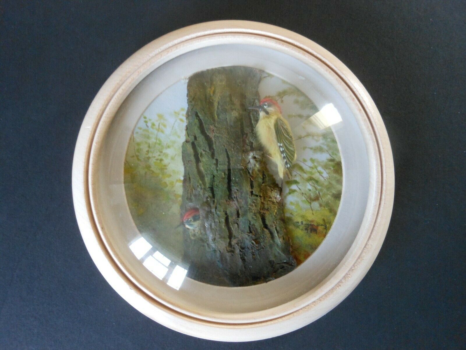 Green Woodpeckers (Version 3) (5-inch)